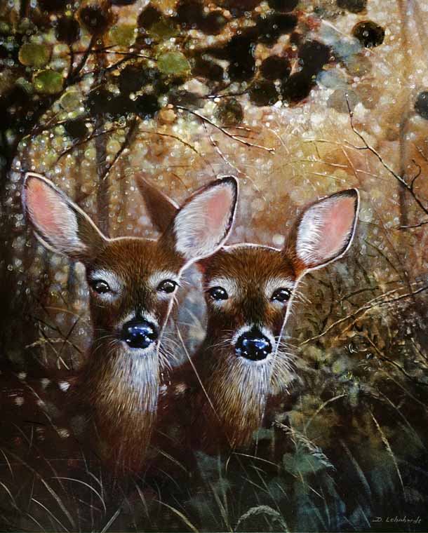 Twin Deer